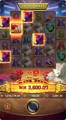 rk55 · Rooster Rbl